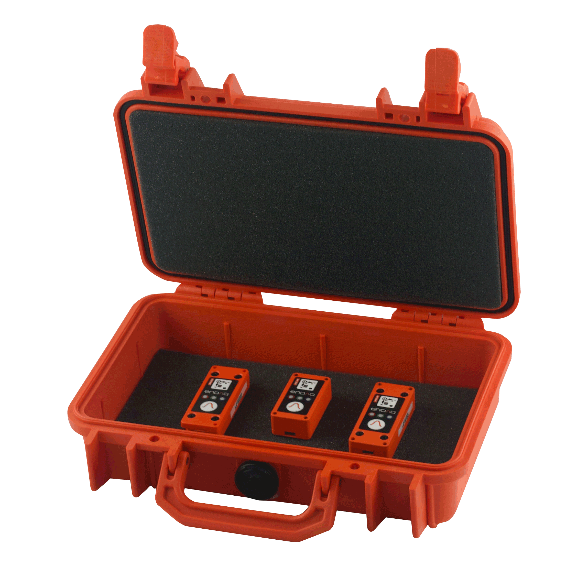 M1A Pelican Case - bjgtctd